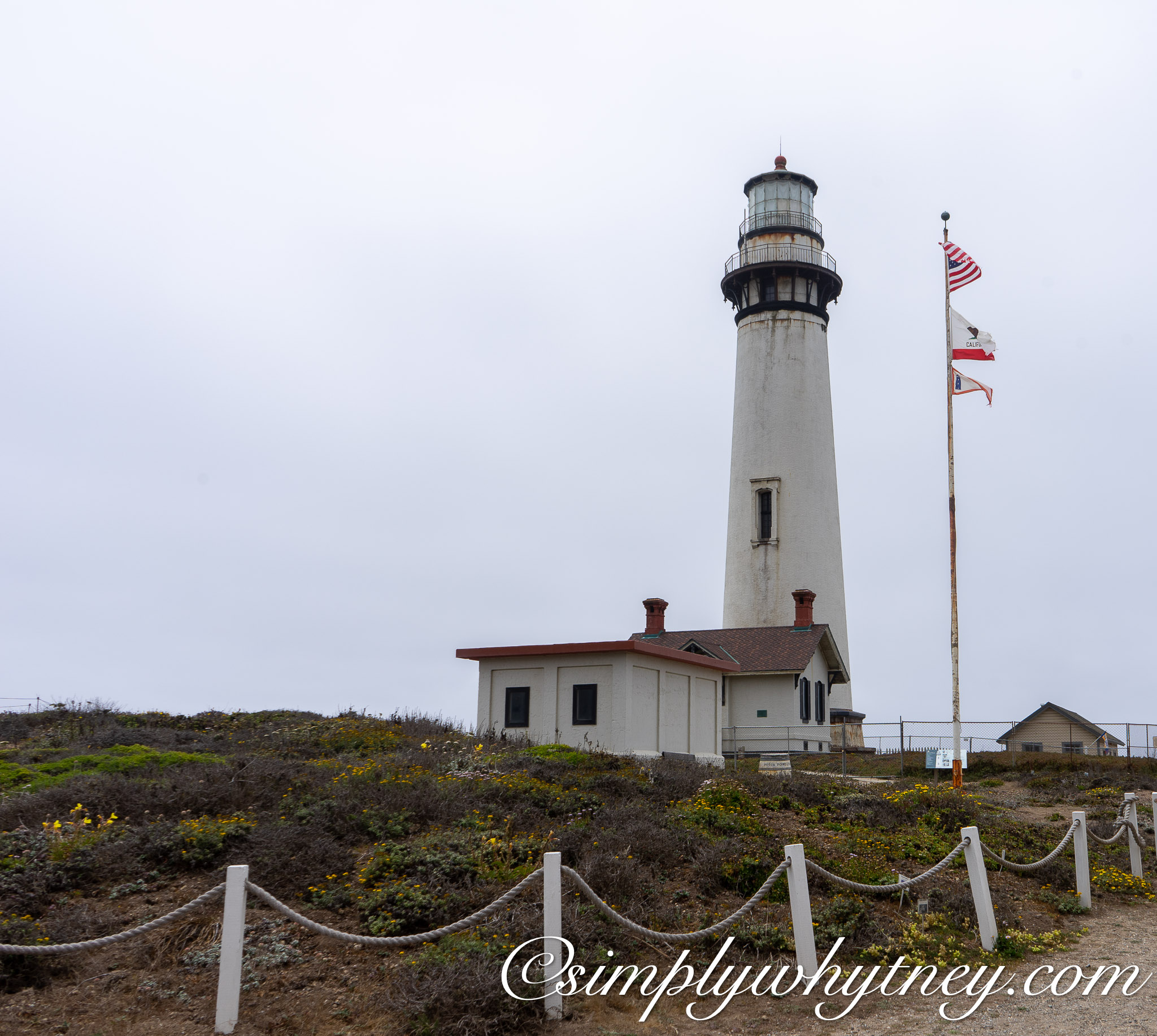 california tourist: pigeon point lighthouse